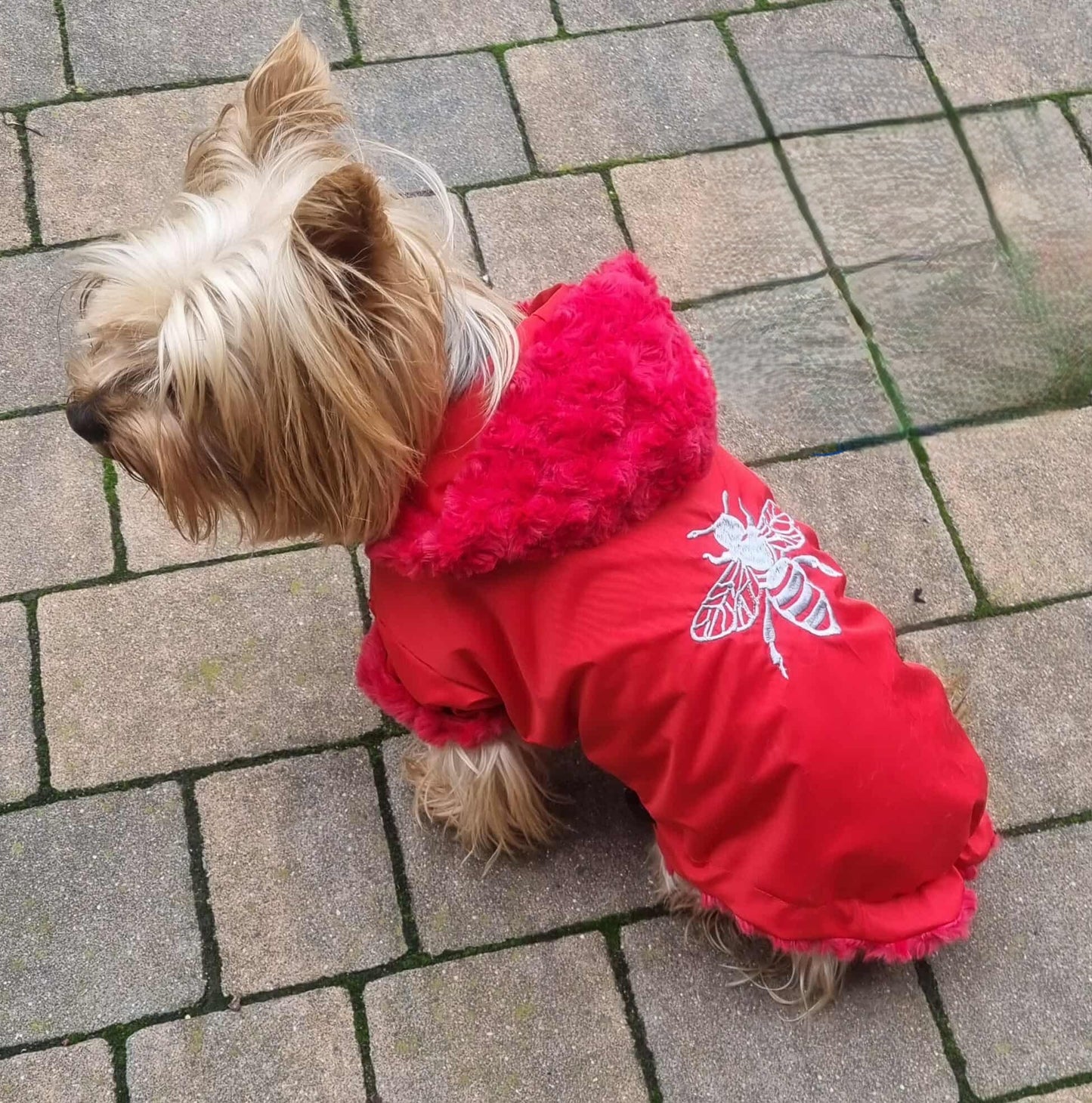 Winterjacke WJ1 Maßgeschneidert - personalisiert + Name oder Haft