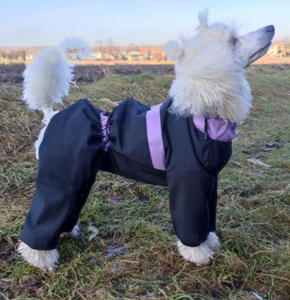 Winterjacke mit Kragen WJ3