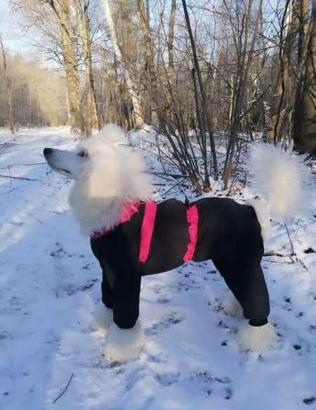 Winterjacke mit Kragen WJ3