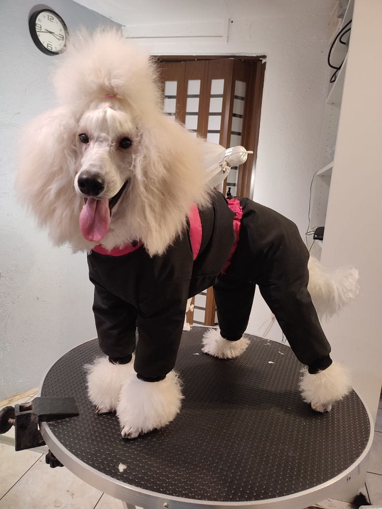 Winterjacke mit Kragen WJ3