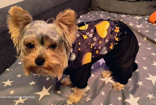 Winterjacke Maßgeschneidert - personalisiert + Hundename WJ5