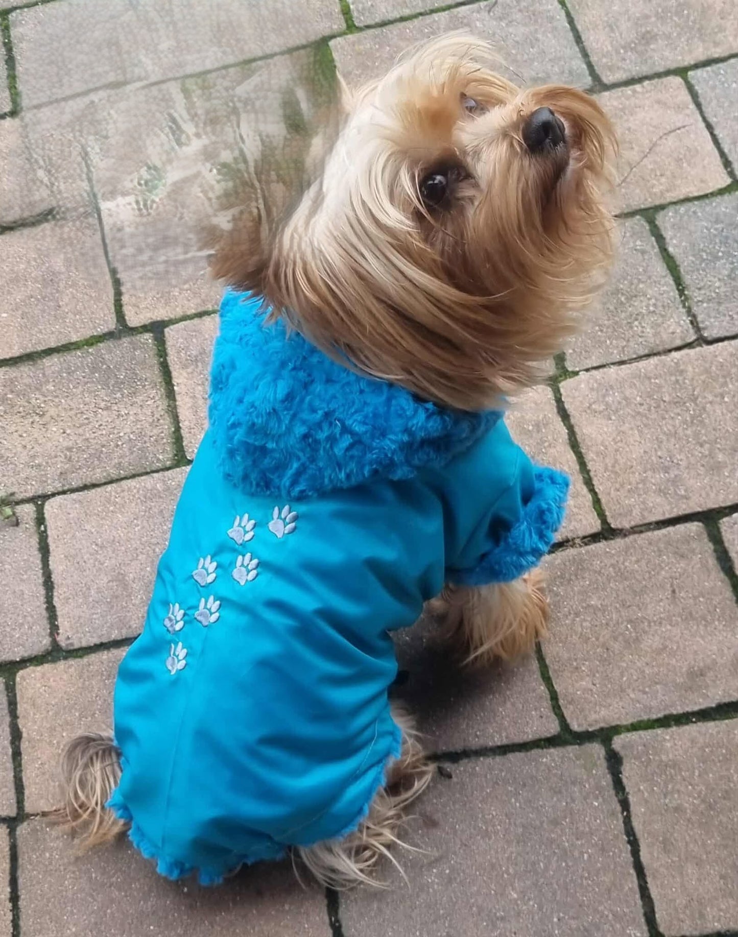 Winterjacke WJ1 Maßgeschneidert - personalisiert + Name oder Haft