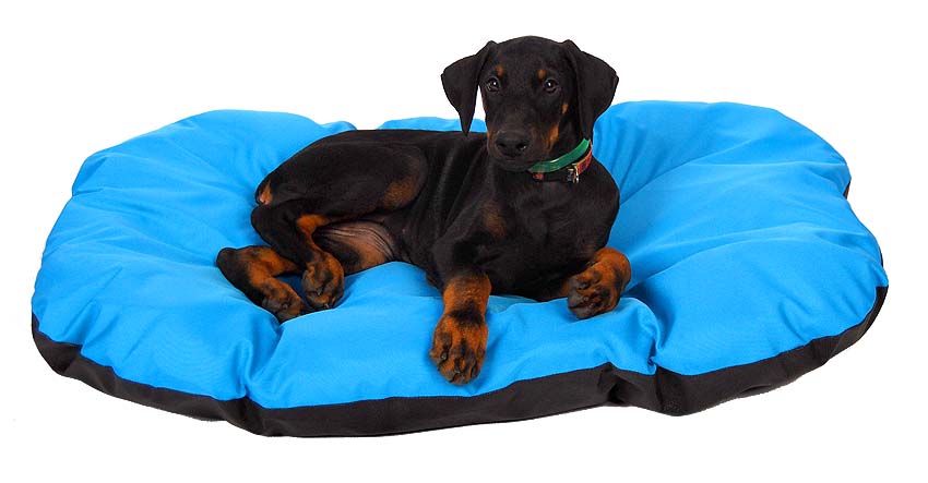 Hundekissen Katzenbett M 60x85cm